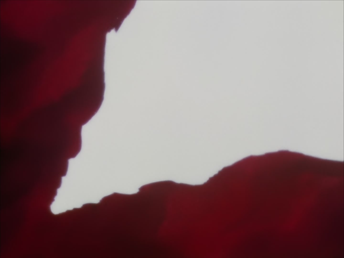 Berserk Ep 25: Time of Eternity @ 13:18
