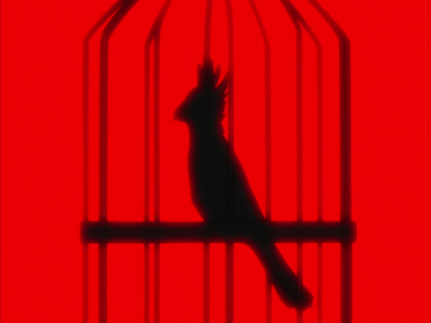 Bleach Ep 4: Cursed Parrot @ 00:02:46