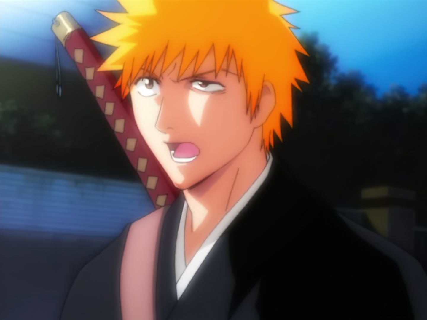 Bleach Ep 12: A Gentle Right Arm @ 00:02:01