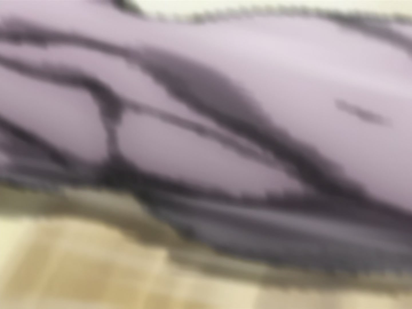 Bleach Ep 12: A Gentle Right Arm @ 00:16:12