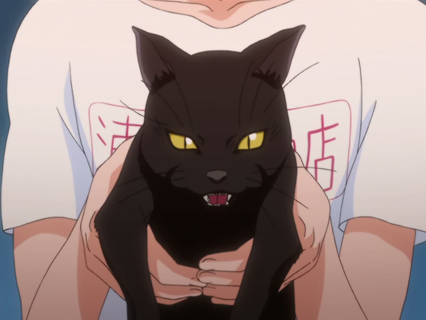 Bleach Ep 15: Kon's Great Plan @ 00:17:01