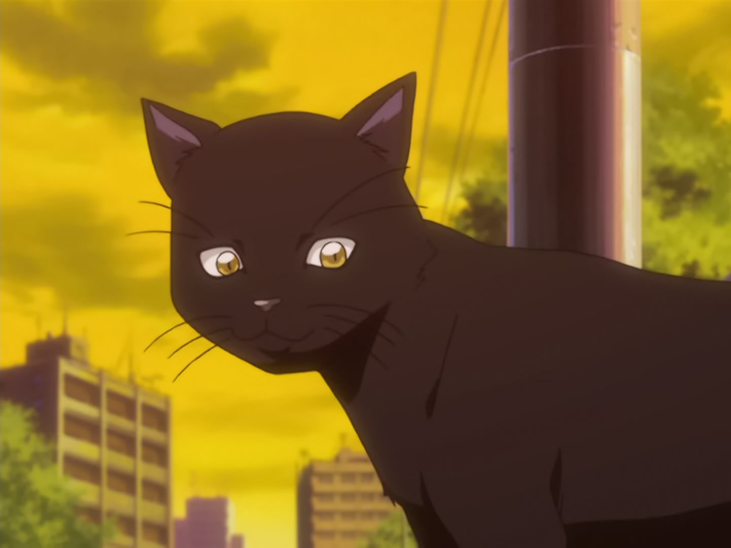 Bleach Ep 18: Reclaim! The Power of the Shinigami @ 00:07:10