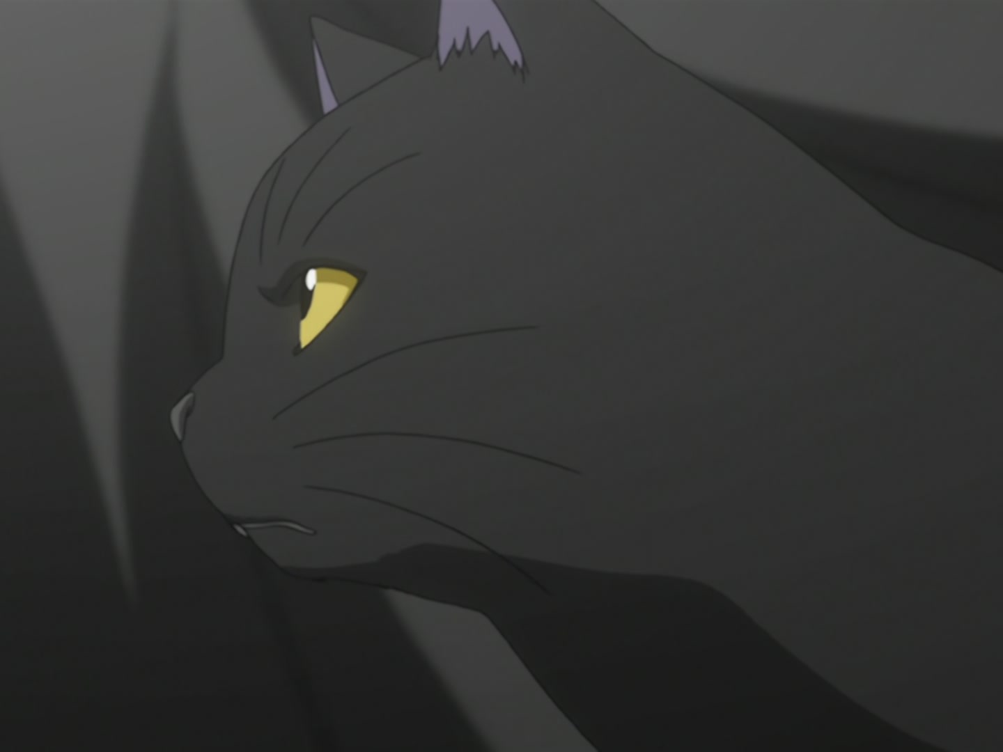 Bleach Ep 22: The Man Who Hates Shinigami @ 00:02:41
