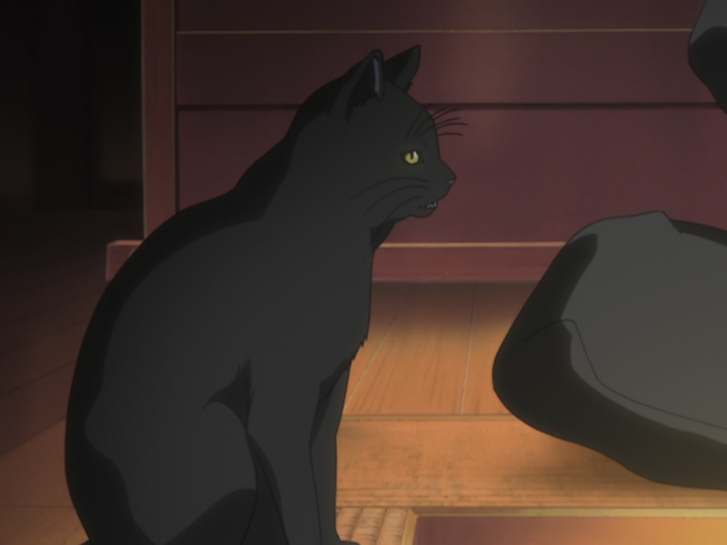 Bleach Ep 22: The Man Who Hates Shinigami @ 00:14:56