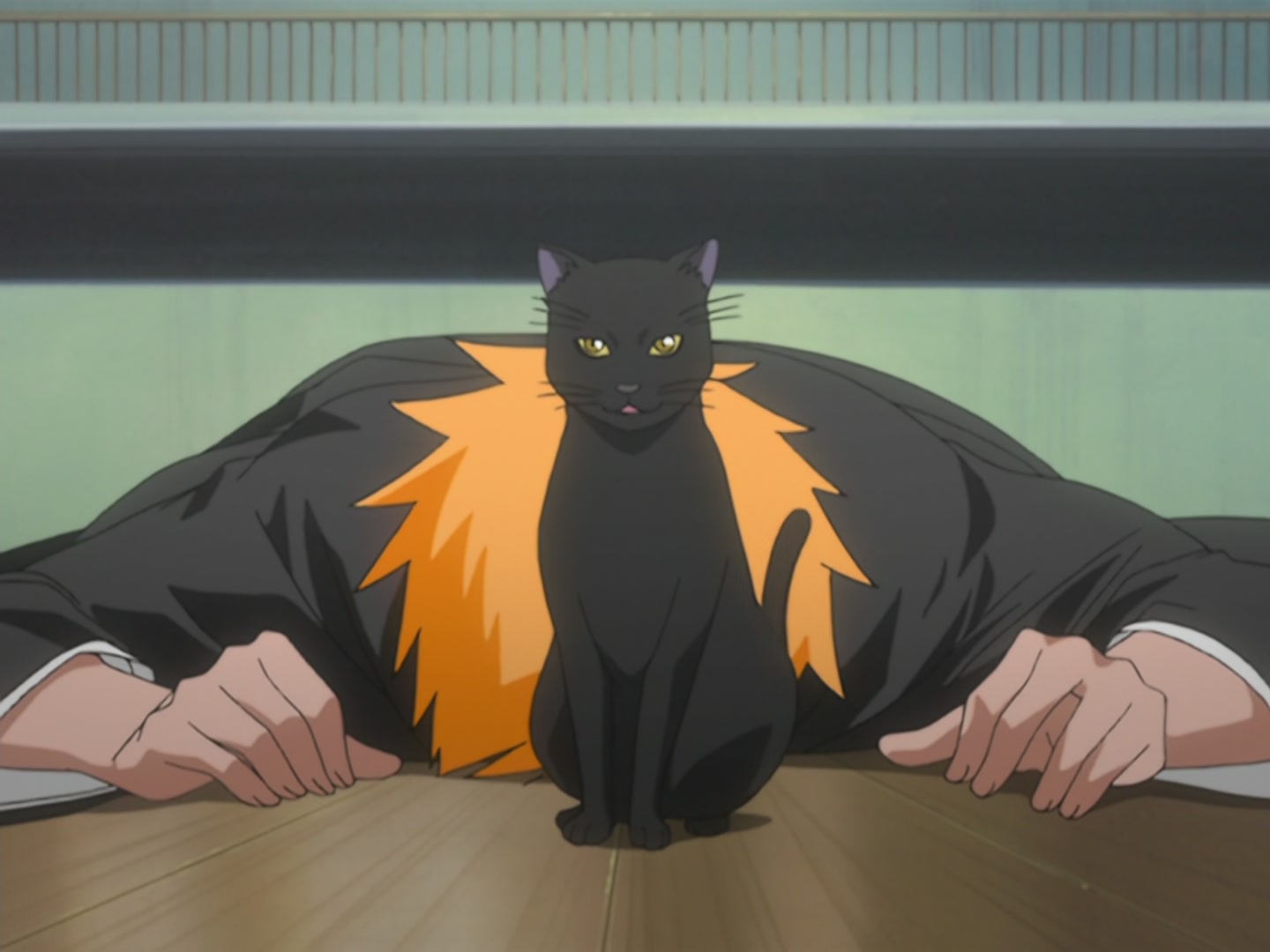 Bleach Ep 25: Penetrate the Center with an Enormous Bomb? @ 00:03:08