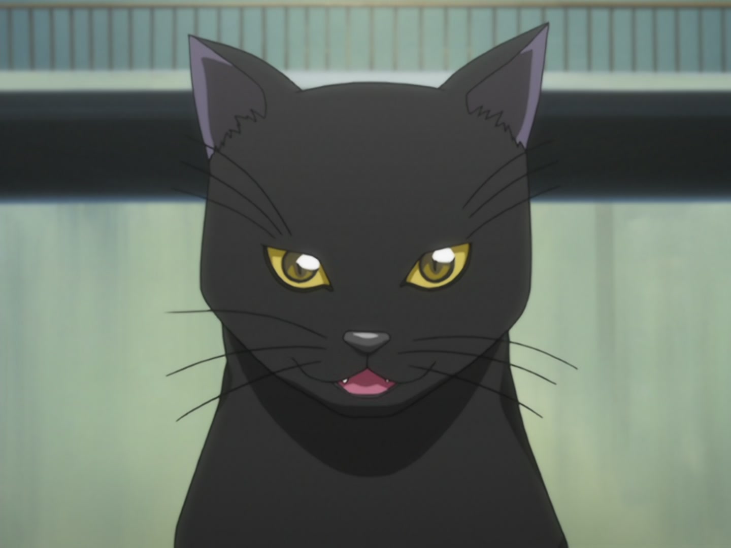 Bleach Ep 25: Penetrate the Center with an Enormous Bomb? @ 00:03:13