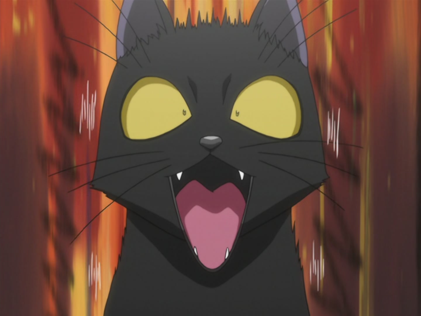 Bleach Ep 25: Penetrate the Center with an Enormous Bomb? @ 00:03:22