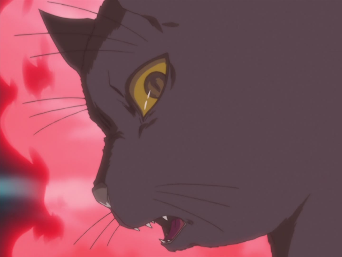 Bleach Ep 25: Penetrate the Center with an Enormous Bomb? @ 00:04:42