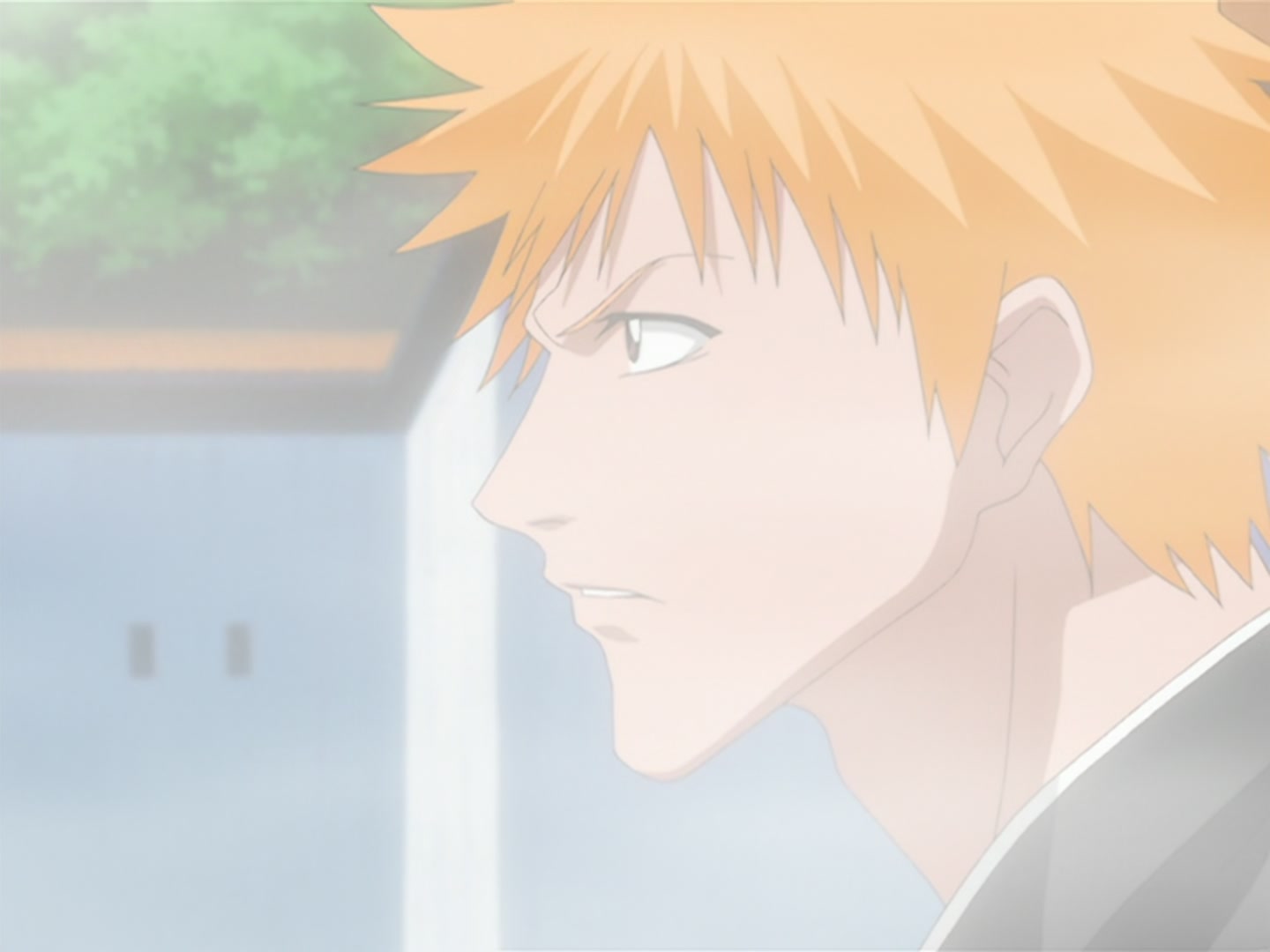 Bleach Ep 30: Renji's Confrontation @ 00:12:07