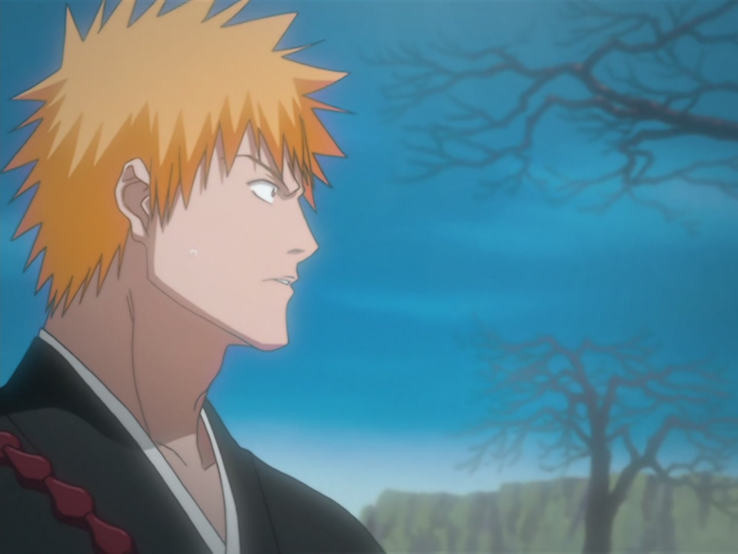 Bleach Ep 31: The Resolution to Kill @ 00:07:37