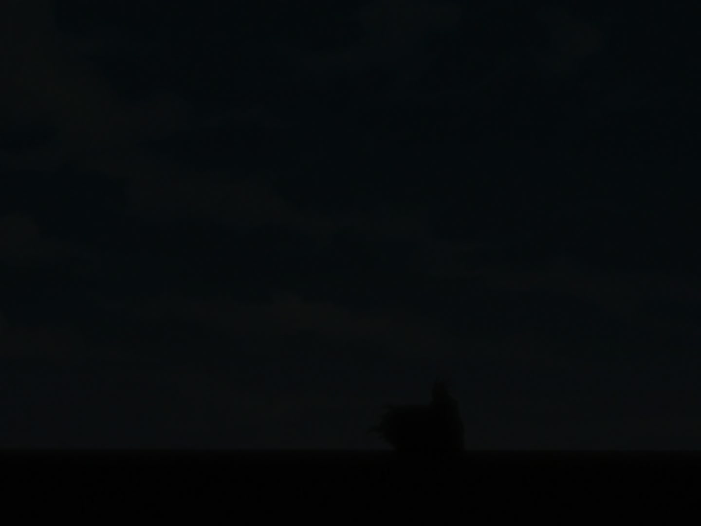 Bleach Ep 36: Zaraki Kenpachi Approaches! @ 00:07:56