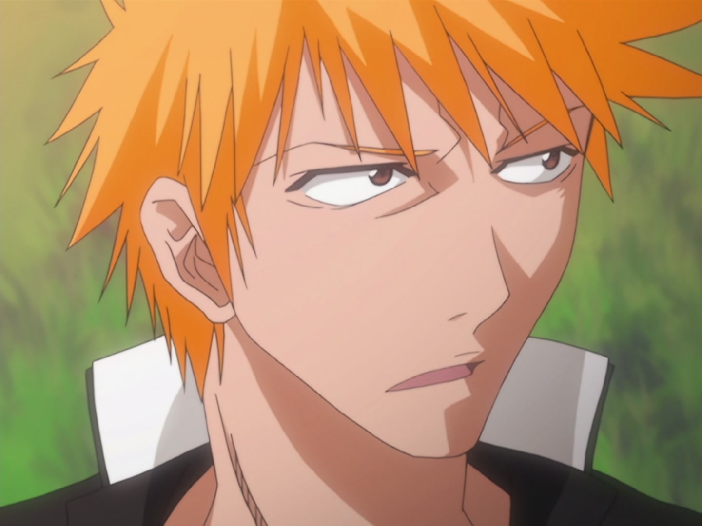 Bleach Ep 37: Reason of the Fist @ 00:14:24