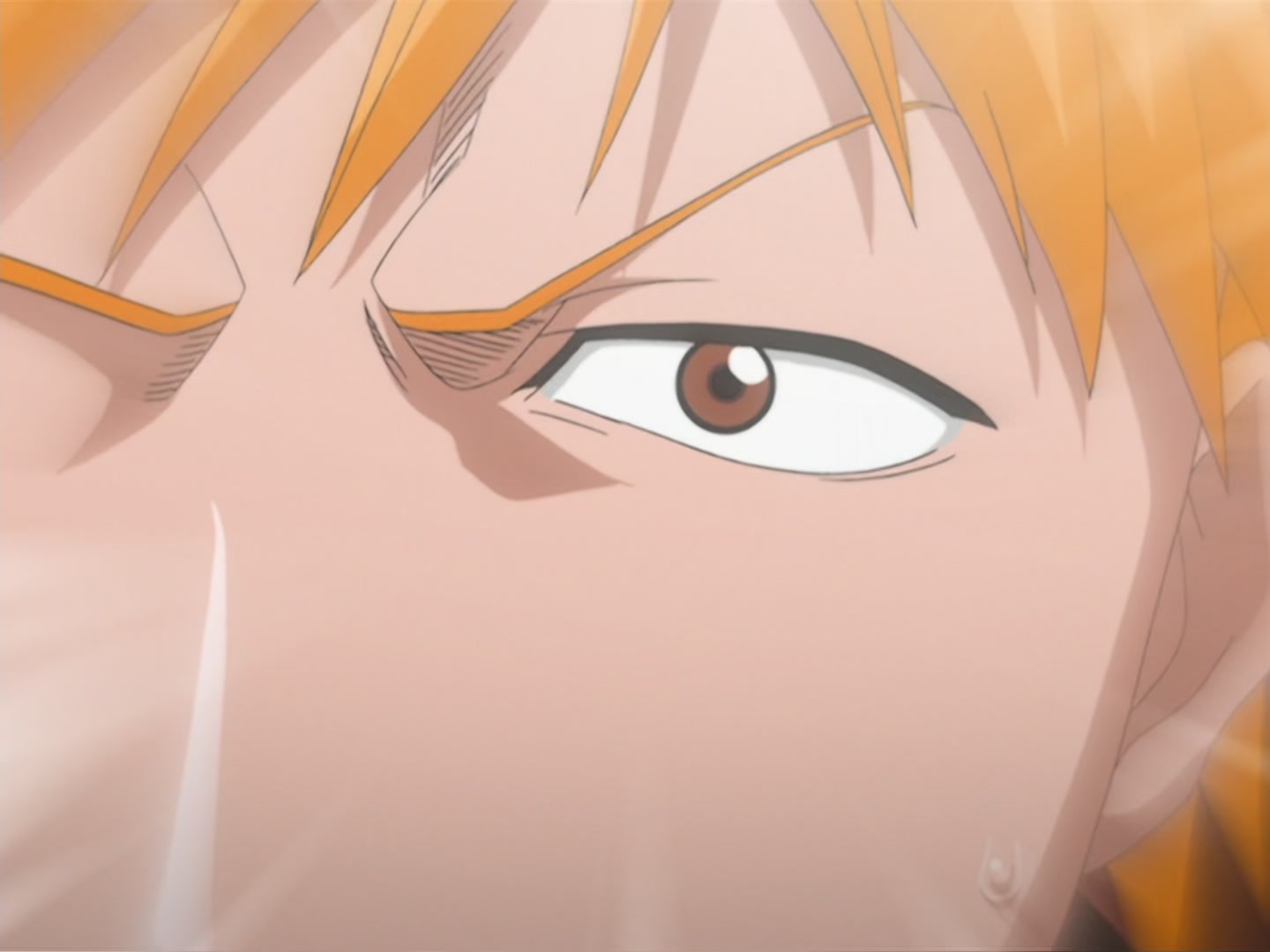 Bleach Ep 42: Yoruichi, Goddess of Flash, Dances! @ 00:04:55