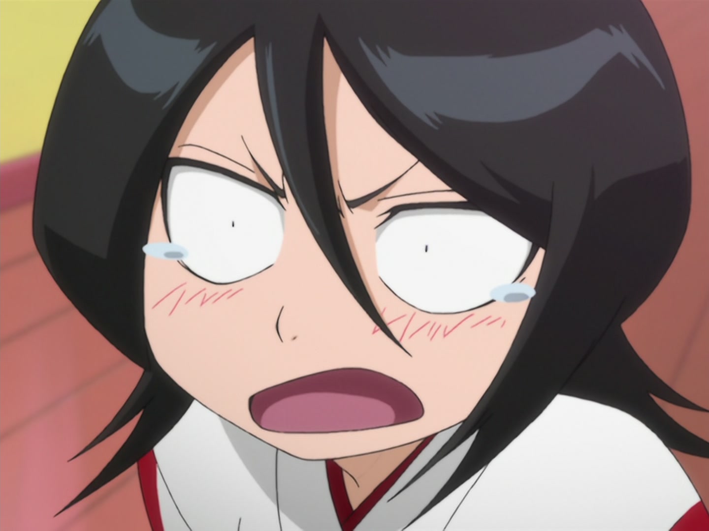 Bleach Ep 46: Authentic Records! School of Shinigami @ 00:10:22