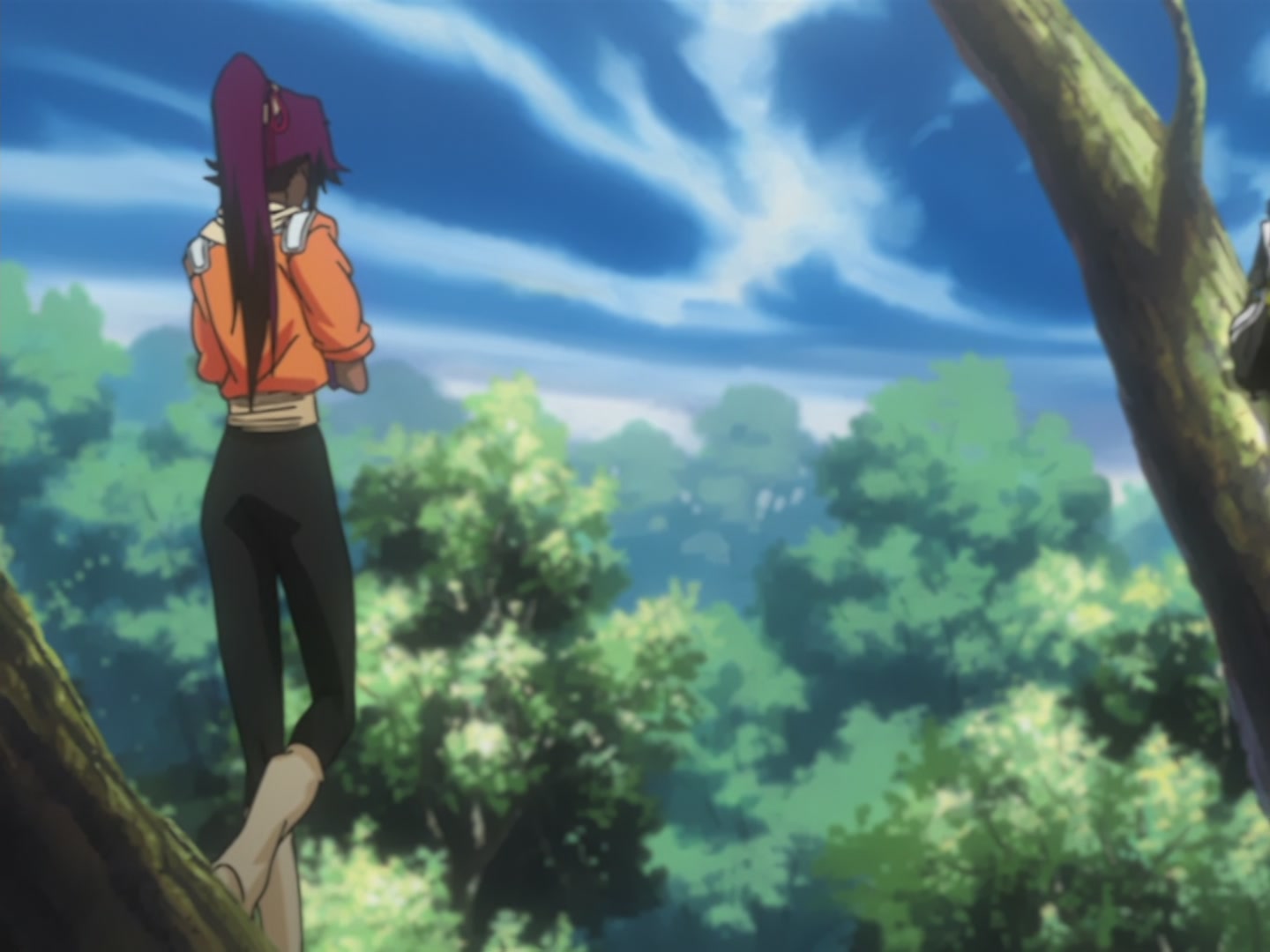 Bleach Ep 56: Supersonic Battle! @ 00:12:13