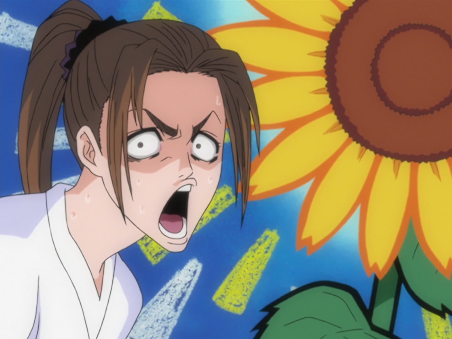 Bleach Ep 121: Clash! The Person Who Protects vs. The Person Who Is Hidden @ 00:09:33