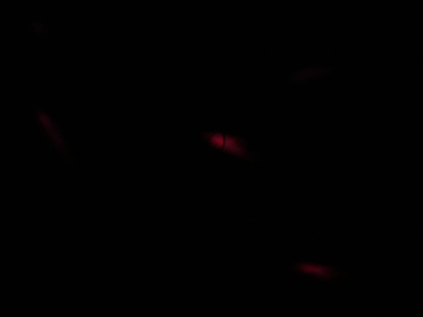 Bleach Ep 139: Ichigo vs. Grimmjow, the 11-second Battle! @ 00:06:07
