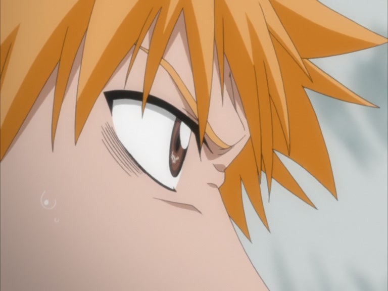 Bleach Ep 147: Forest of Menos! Search for the Missing Rukia @ 00:02:13