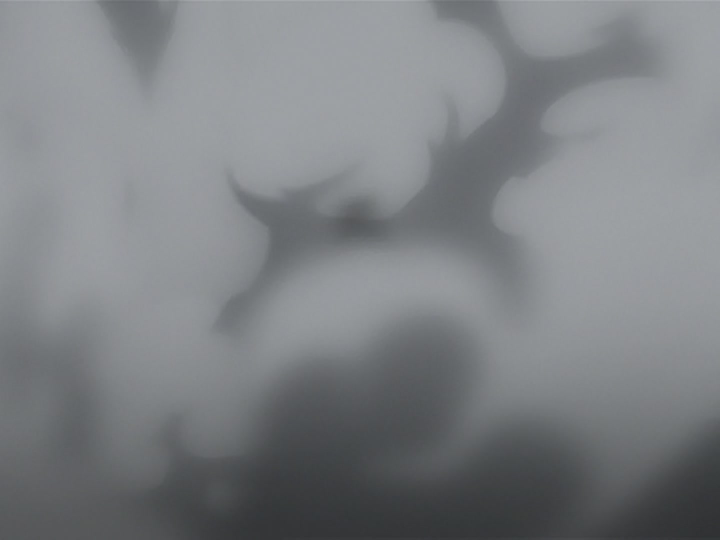 Bleach Ep 165: The Murderous Intent Boils! The Joyful Grimmjow @ 00:03:28