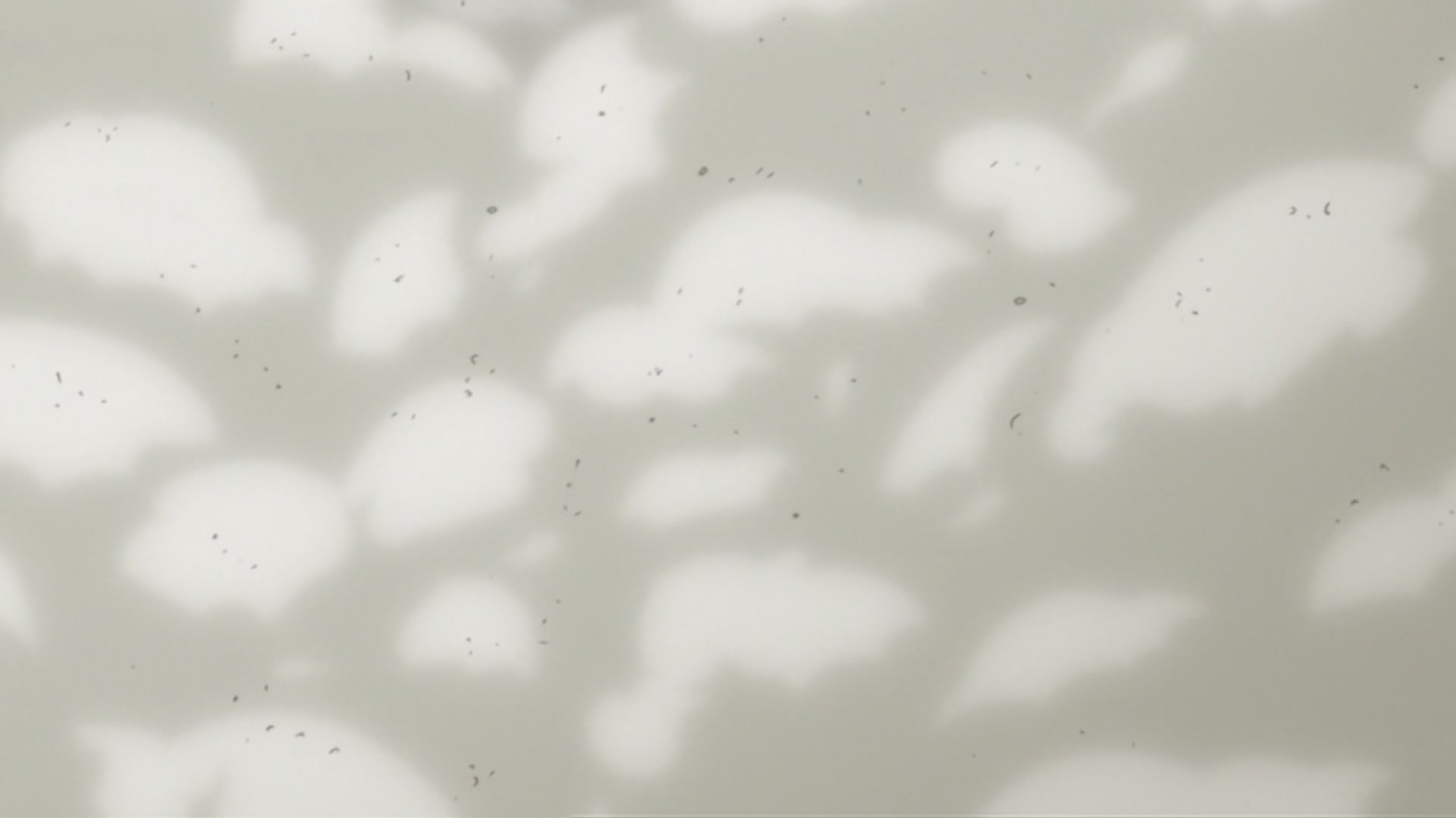Bleach Ep 193: The Irresistible, Puppet Show of Terror @ 00:03:24