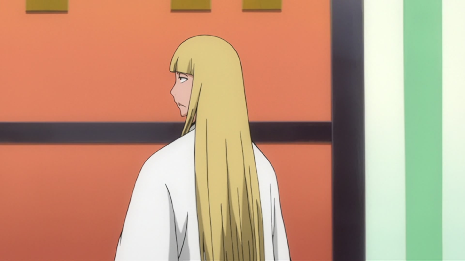 Bleach Ep 206: The Past Chapter Begins! The Truth from 110 Years Ago @ 00:05:51