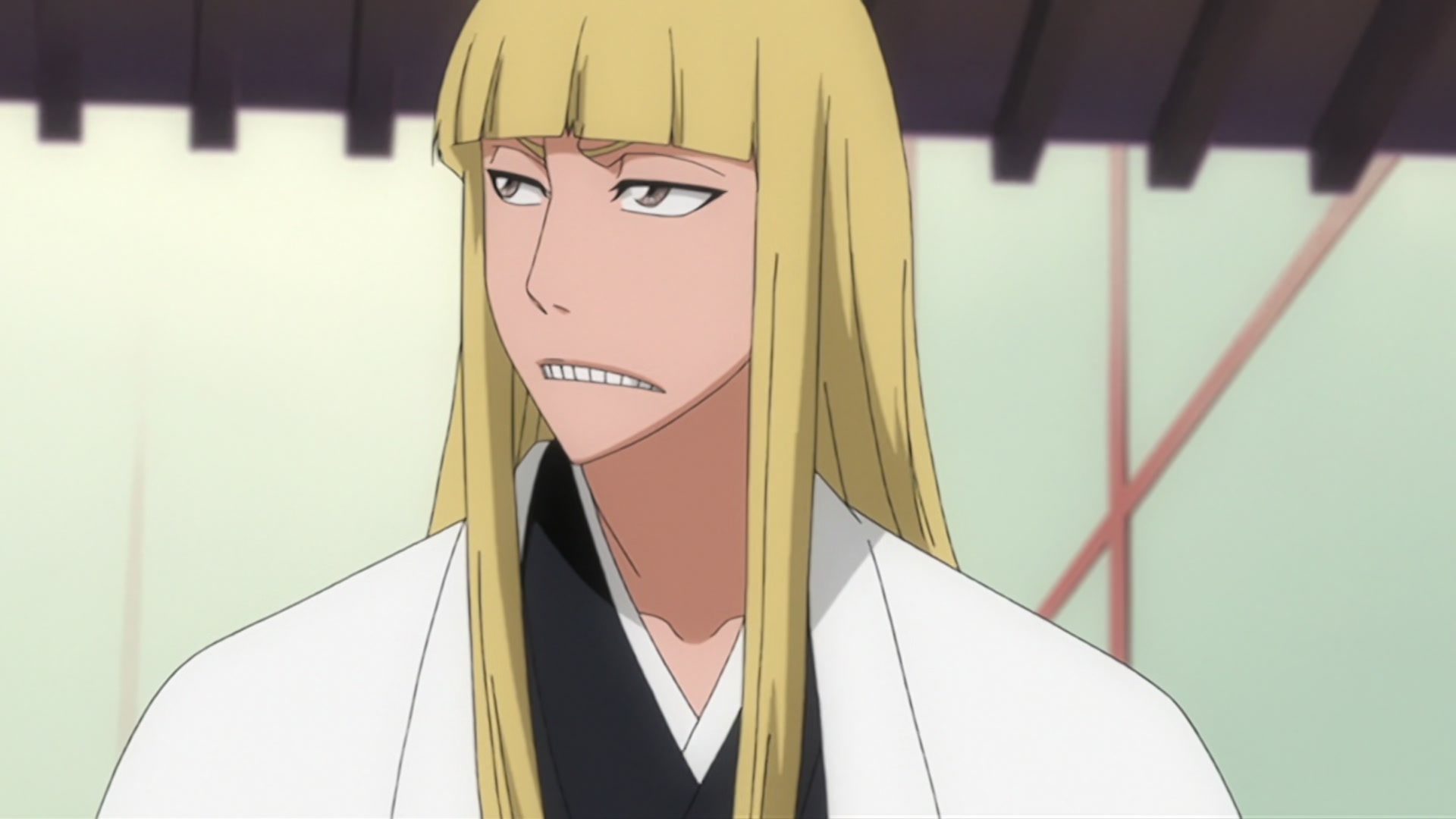 Bleach Ep 206: The Past Chapter Begins! The Truth from 110 Years Ago @ 00:08:52
