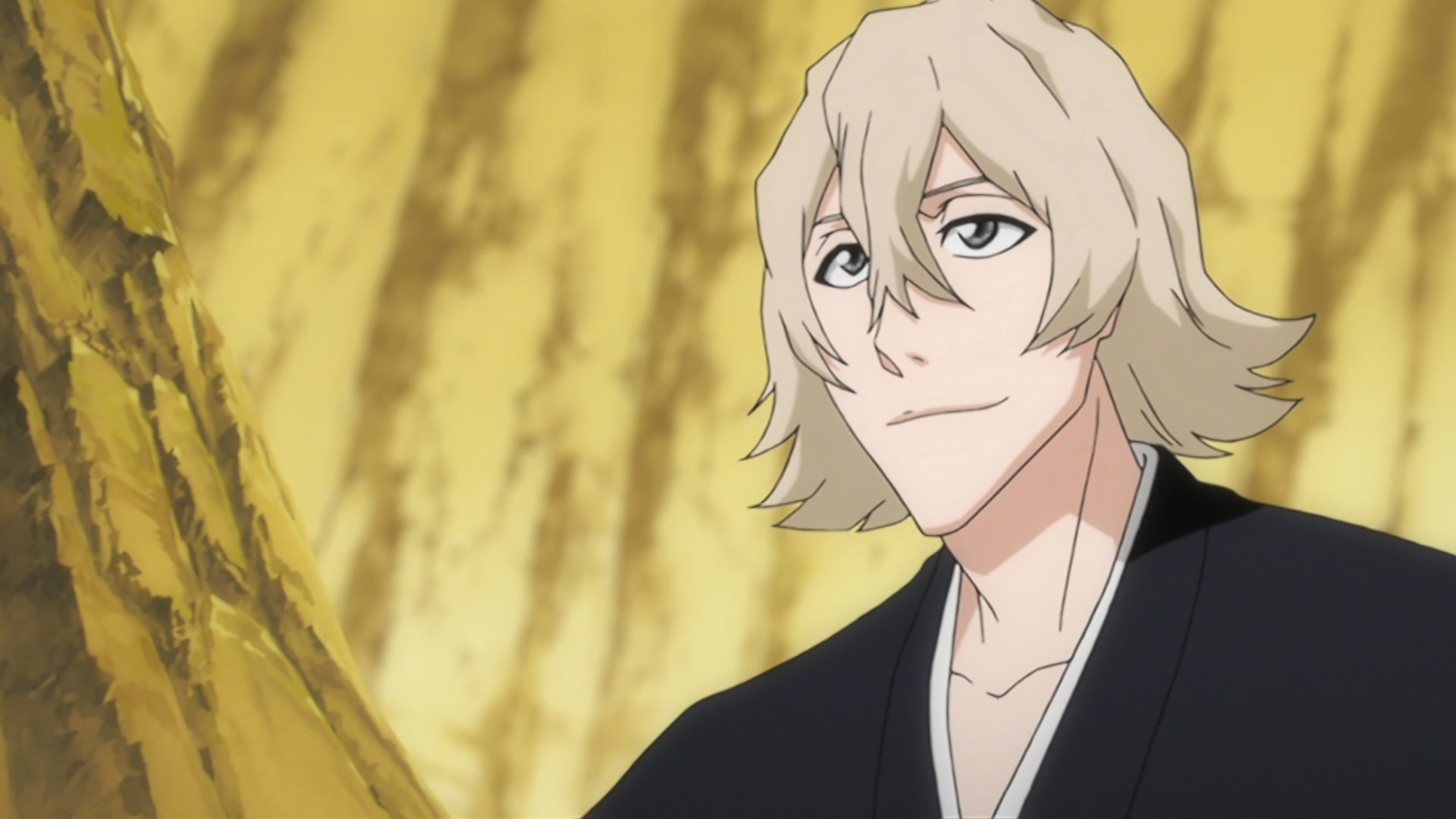 Bleach Ep 206: The Past Chapter Begins! The Truth from 110 Years Ago @ 00:09:40