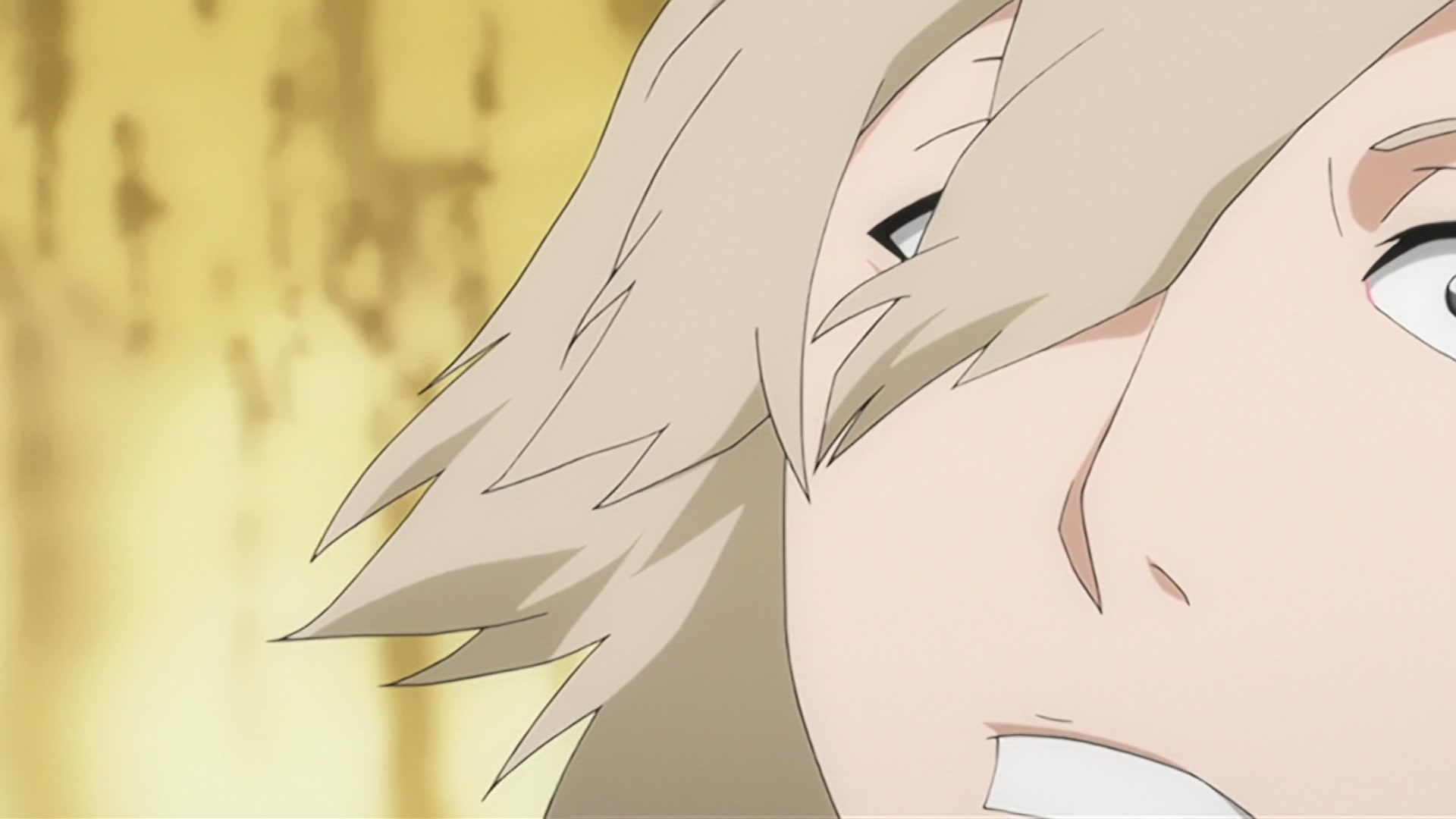 Bleach Ep 206: The Past Chapter Begins! The Truth from 110 Years Ago @ 00:09:44