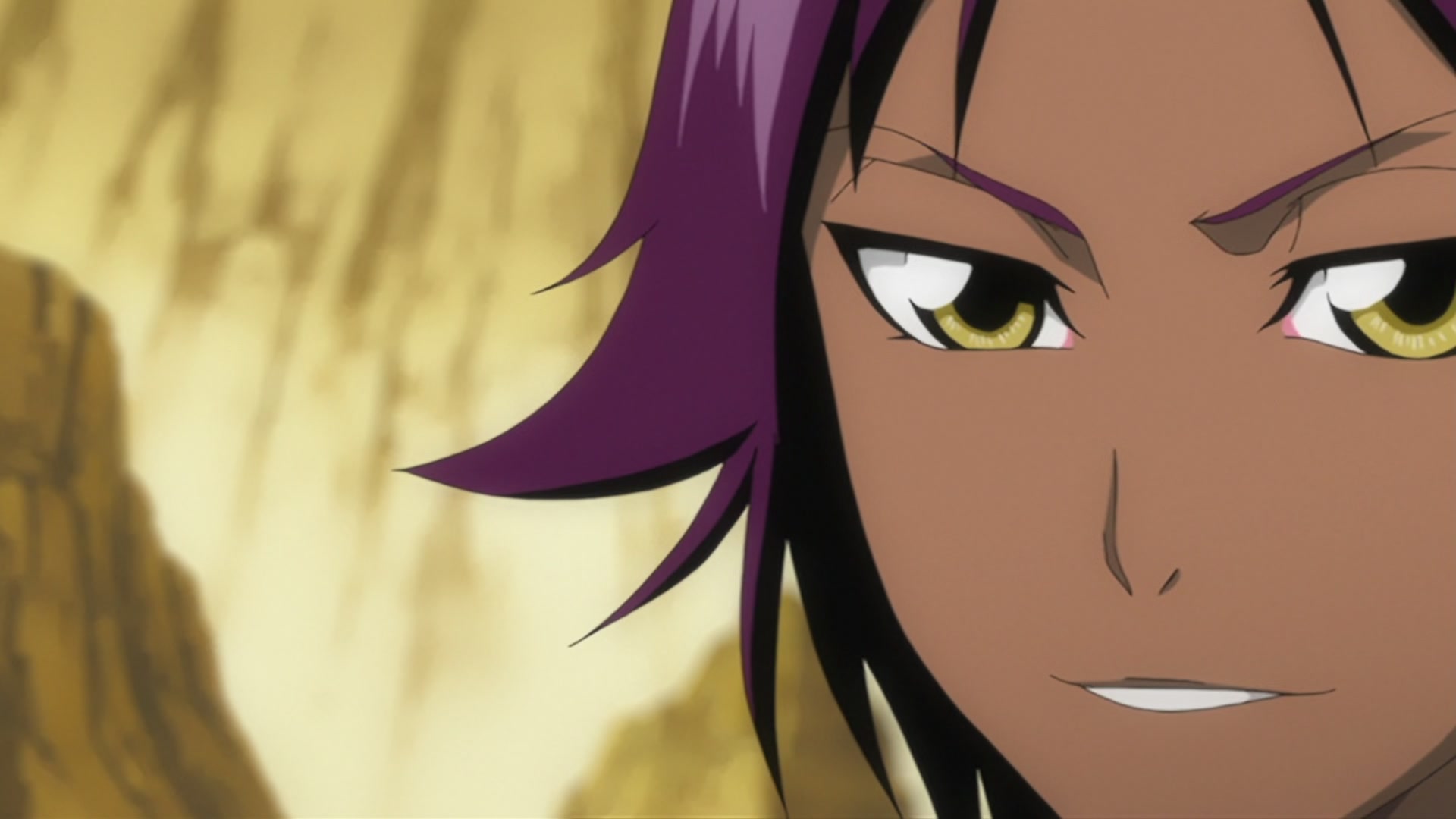 Bleach Ep 206: The Past Chapter Begins! The Truth from 110 Years Ago @ 00:10:32