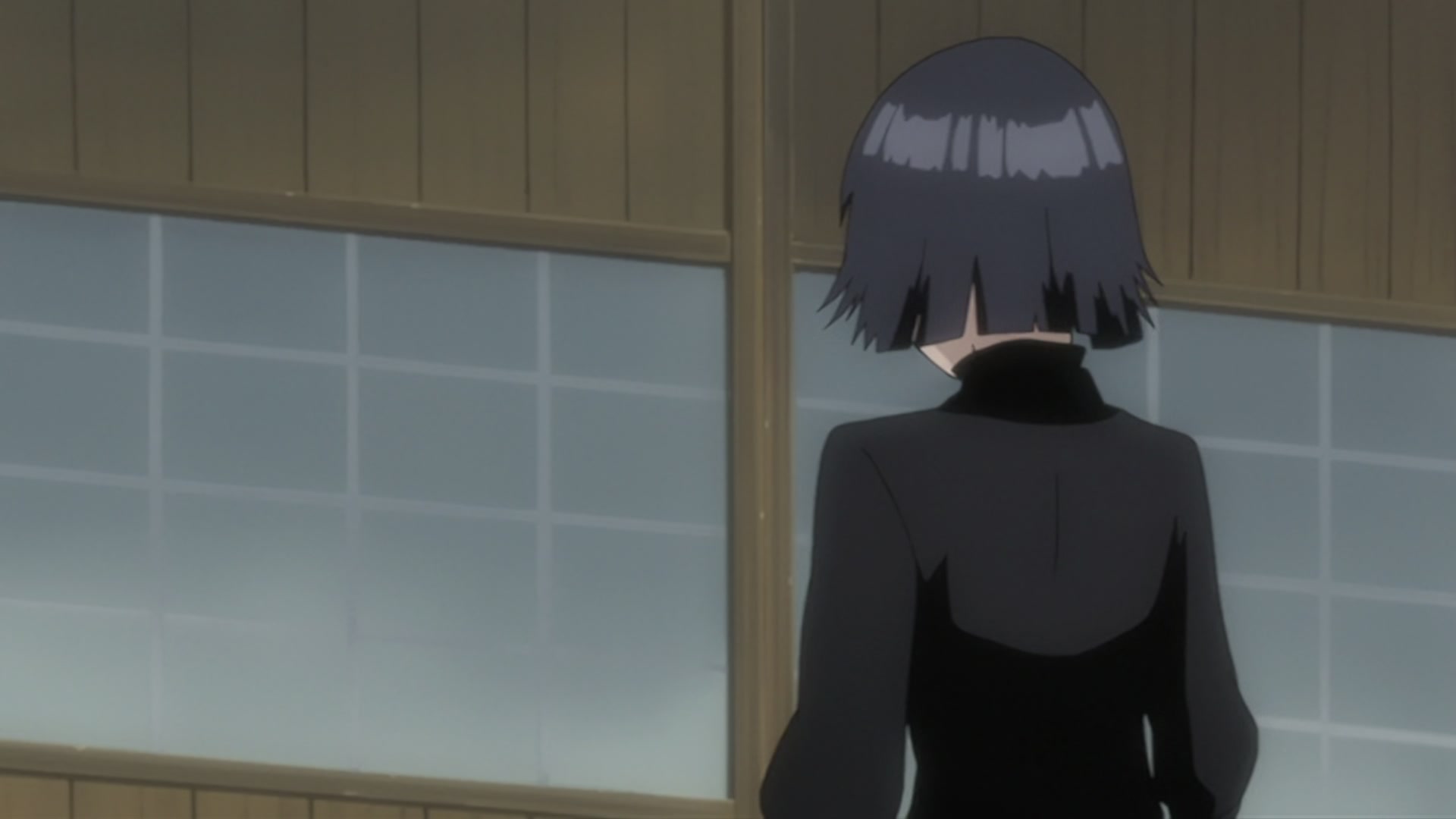 Bleach Ep 206: The Past Chapter Begins! The Truth from 110 Years Ago @ 00:12:07