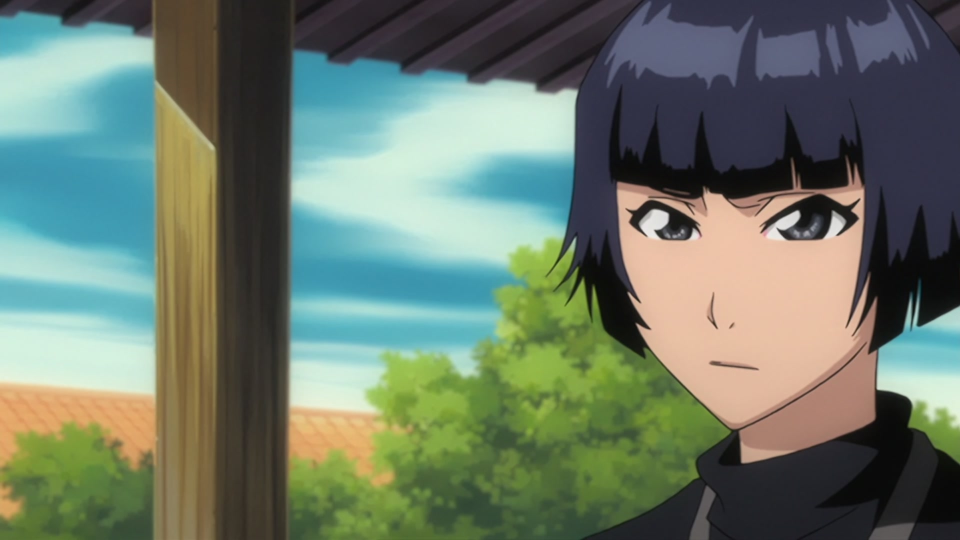 Bleach Ep 206: The Past Chapter Begins! The Truth from 110 Years Ago @ 00:13:19