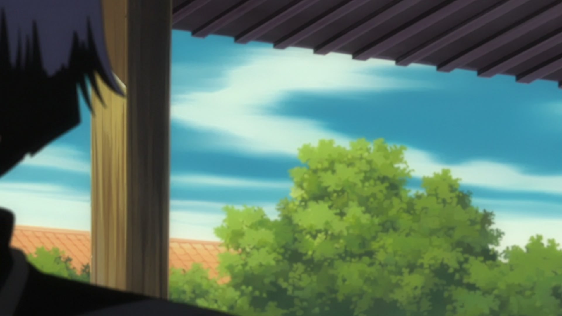 Bleach Ep 206: The Past Chapter Begins! The Truth from 110 Years Ago @ 00:13:23