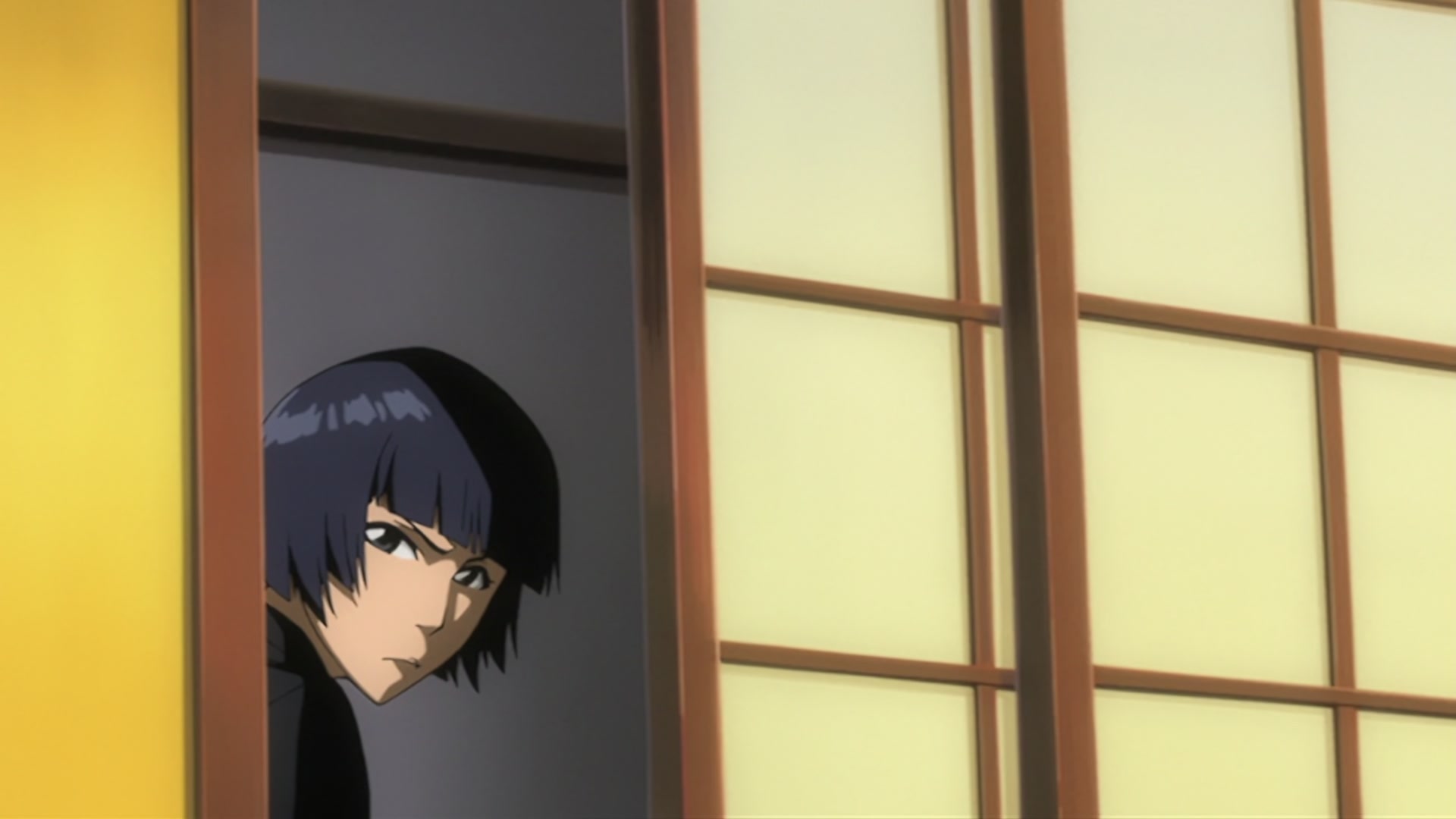 Bleach Ep 206: The Past Chapter Begins! The Truth from 110 Years Ago @ 00:14:21