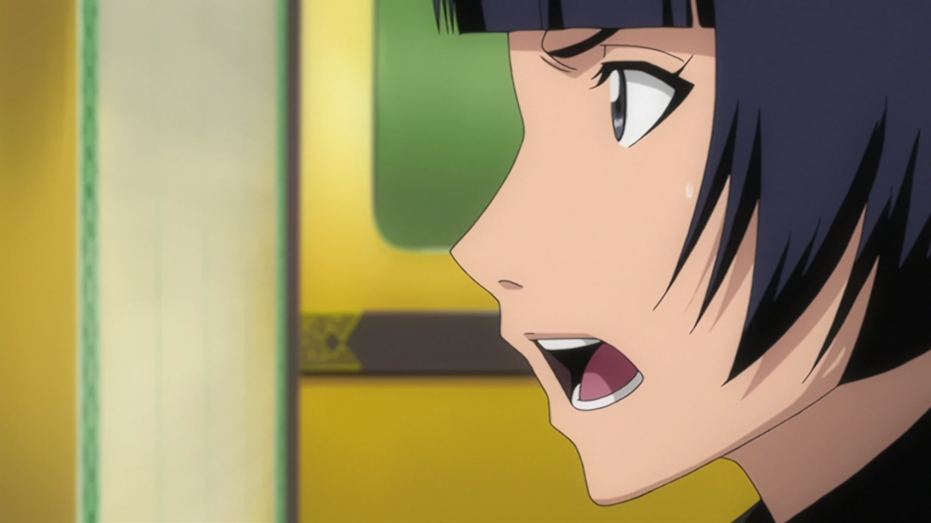 Bleach Ep 206: The Past Chapter Begins! The Truth from 110 Years Ago @ 00:15:51