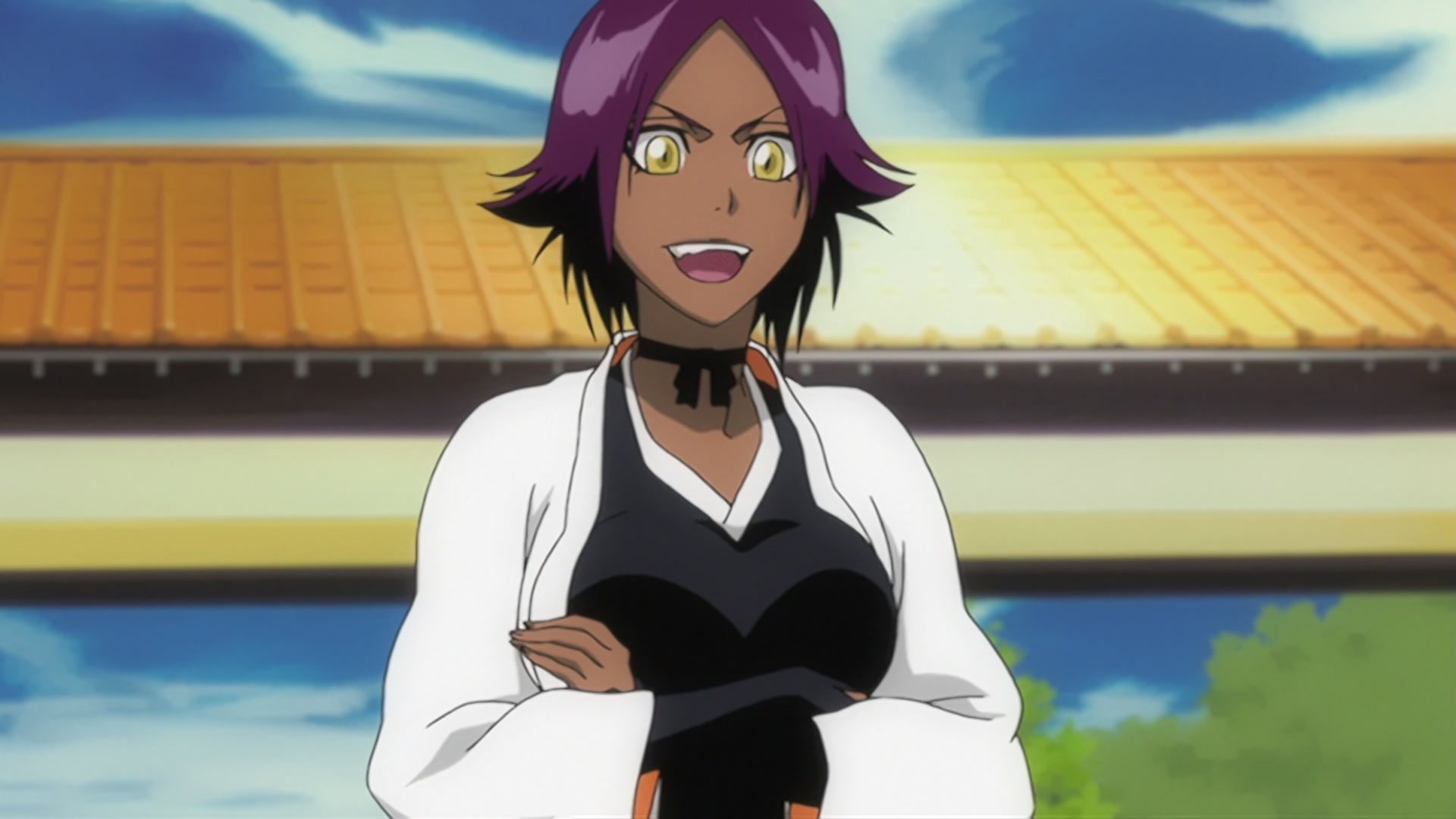 Bleach Ep 208: Aizen and the Genius Boy @ 00:18:04