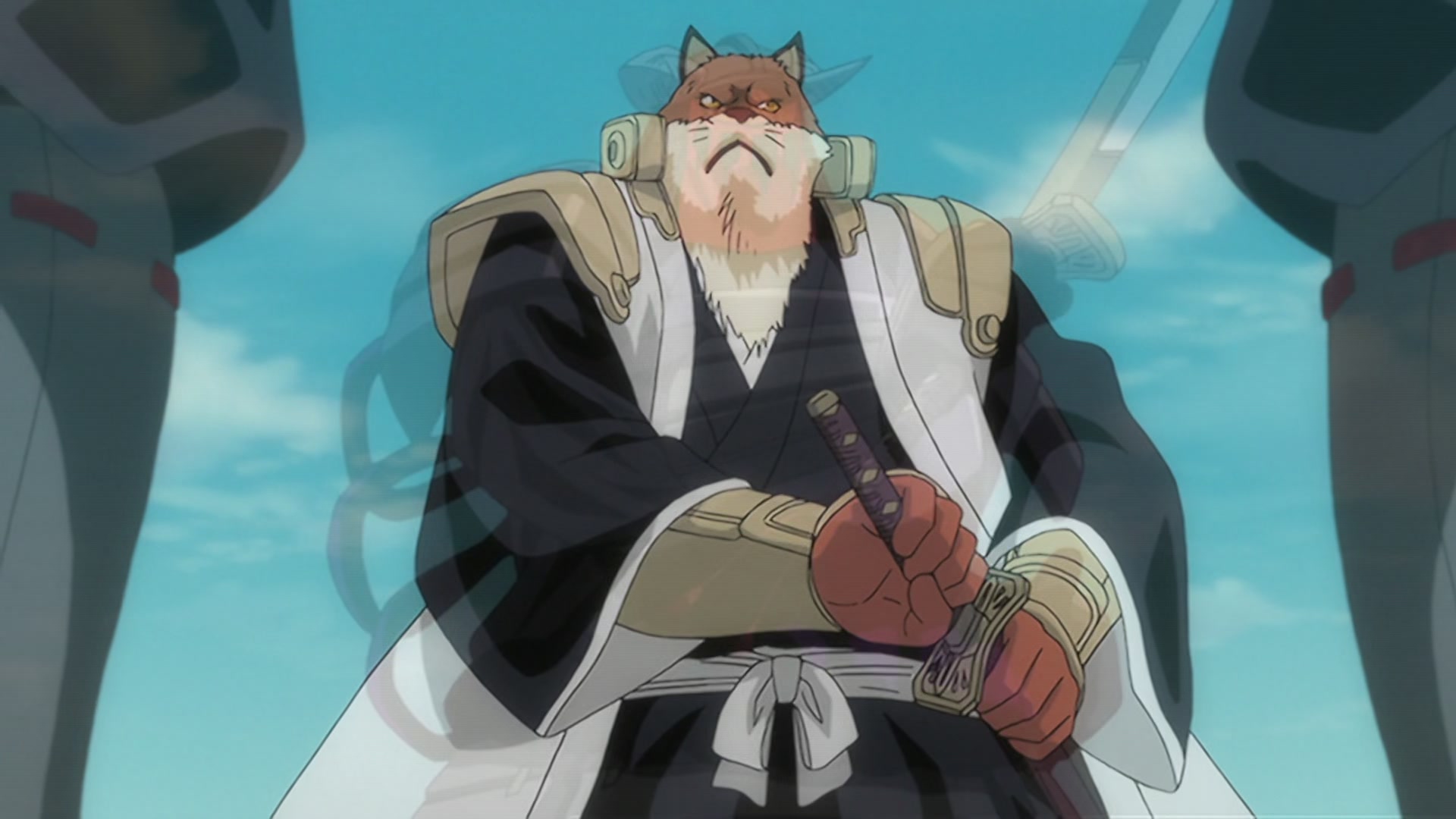 Bleach Ep 220: Ikkaku Falls! The Shinigami's Crisis @ 00:18:28