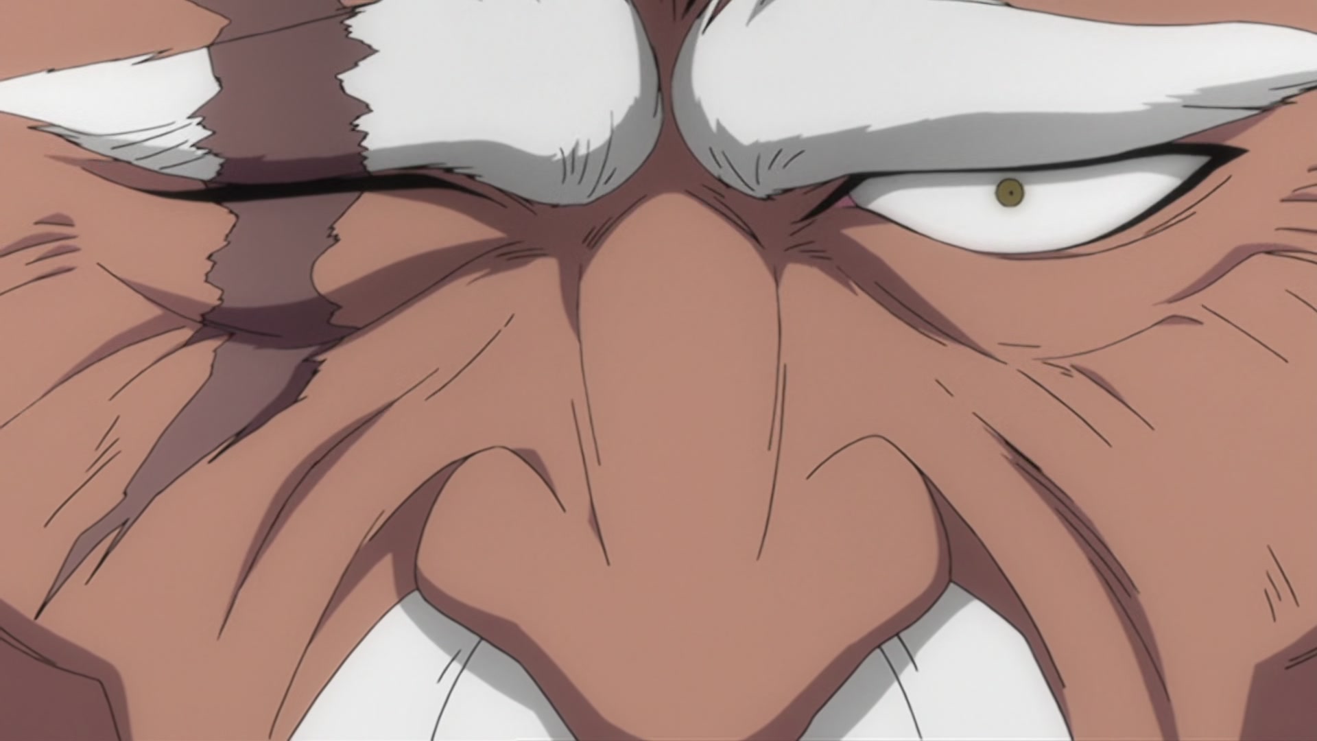 Bleach Ep 220: Ikkaku Falls! The Shinigami's Crisis @ 00:21:43