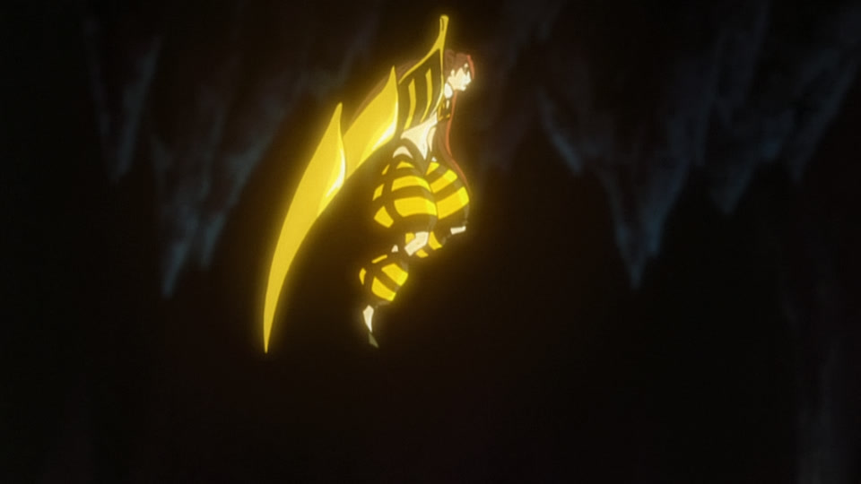Bleach Ep 230: A New Enemy! The Materialization of Zanpakuto @ 00:03:05