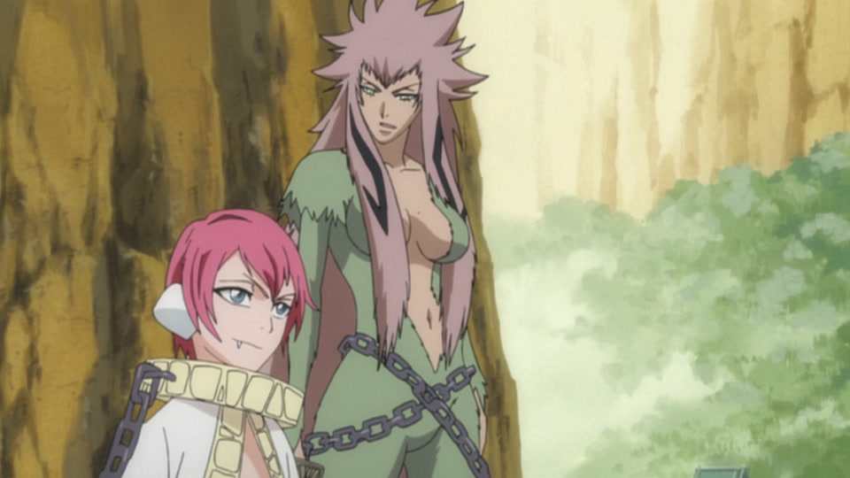Bleach Ep 235: Clash! Hisagi vs. Kazeshini @ 00:04:30