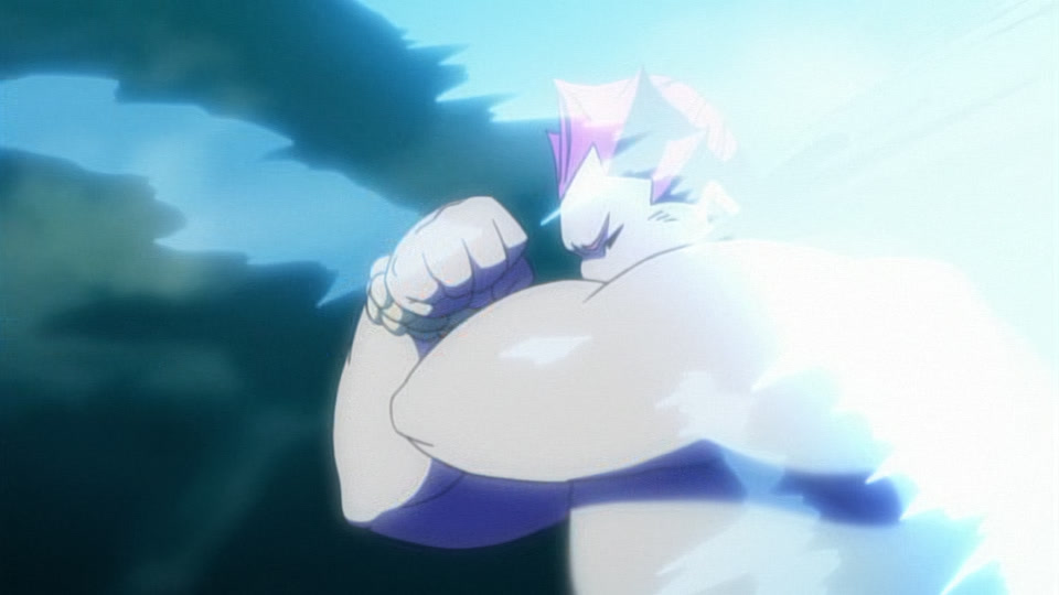 Bleach Ep 237: Soi Fon, Surrounding the Zanpakuto @ 00:18:08
