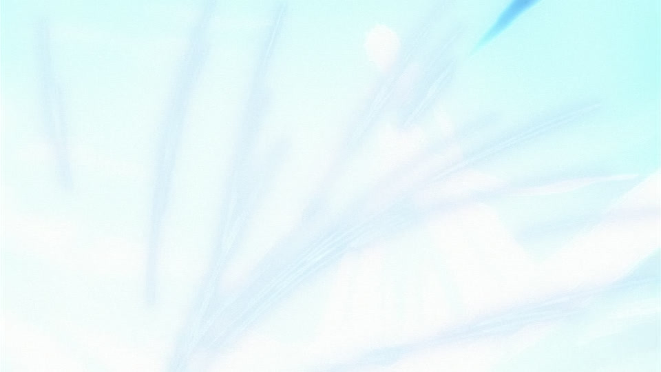 Bleach Ep 242: Shinigami and Zanpakuto, Total Sortie @ 00:08:33