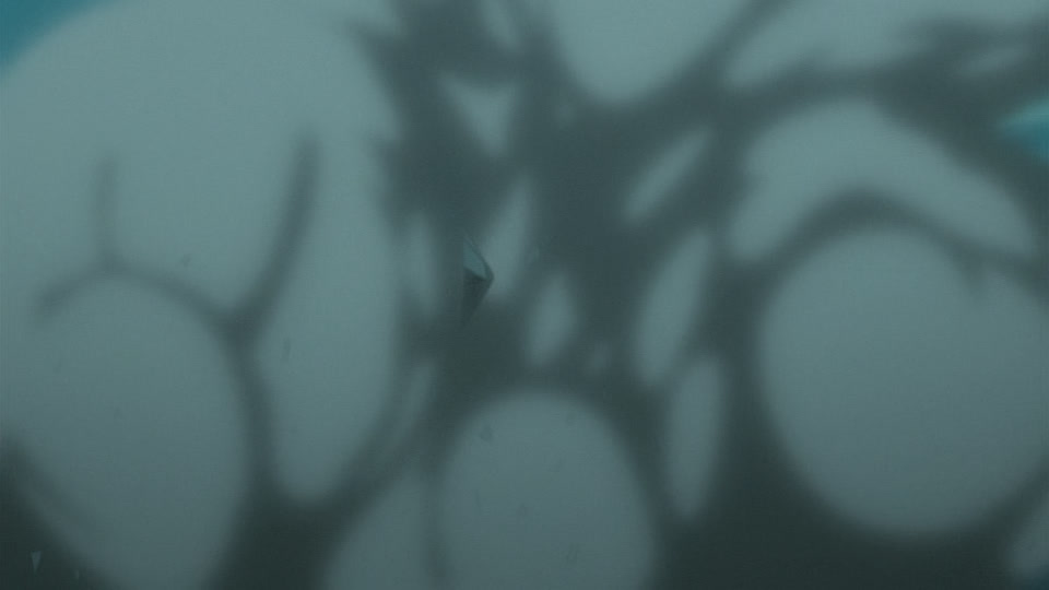 Bleach Ep 243: One-to-One Fight! Ichigo vs. Senbonzakura @ 00:09:06