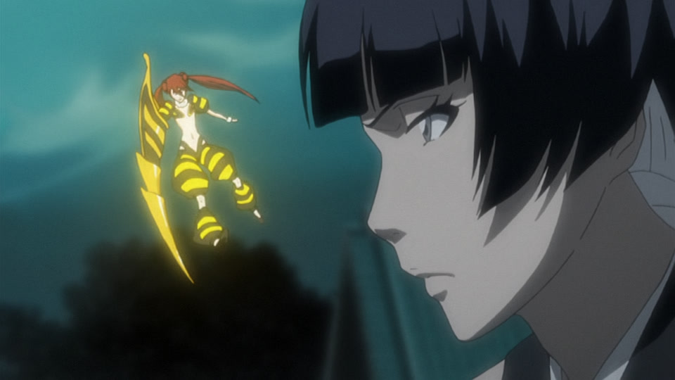 Bleach Ep 245: Pursue Byakuya! The Confused Gotei Divisions @ 00:07:09