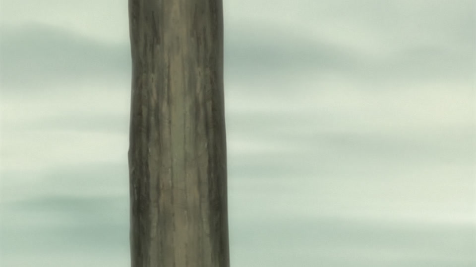 Bleach Ep 249: Senbonzakura's Bankai! Offense and Defense of the Living World @ 00:08:26