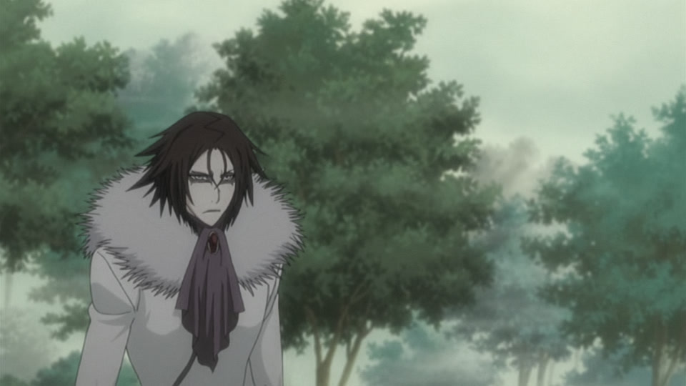 Bleach Ep 249: Senbonzakura's Bankai! Offense and Defense of the Living World @ 00:09:28