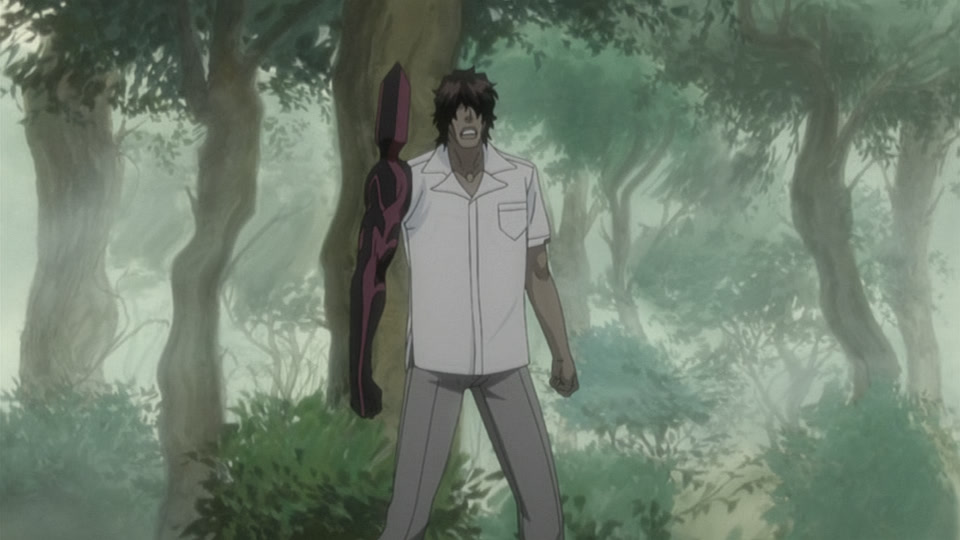 Bleach Ep 249: Senbonzakura's Bankai! Offense and Defense of the Living World @ 00:09:38