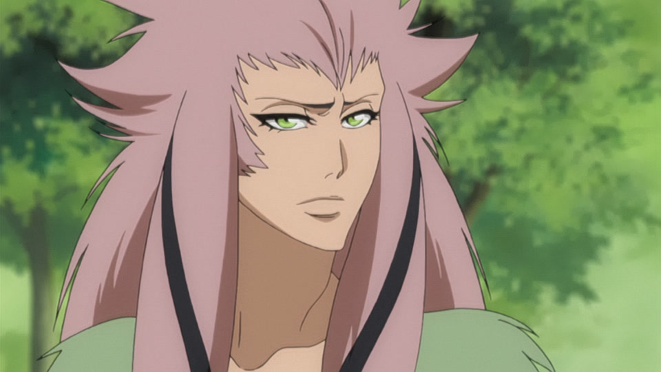 Bleach Ep 258: Stray Snake, Tortured Monkey @ 00:06:53