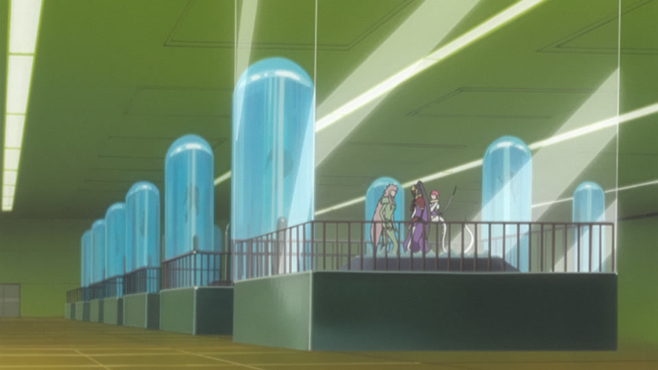 Bleach Ep 263: Imprisonment?! Senbonzakura & Zabimaru @ 00:10:46
