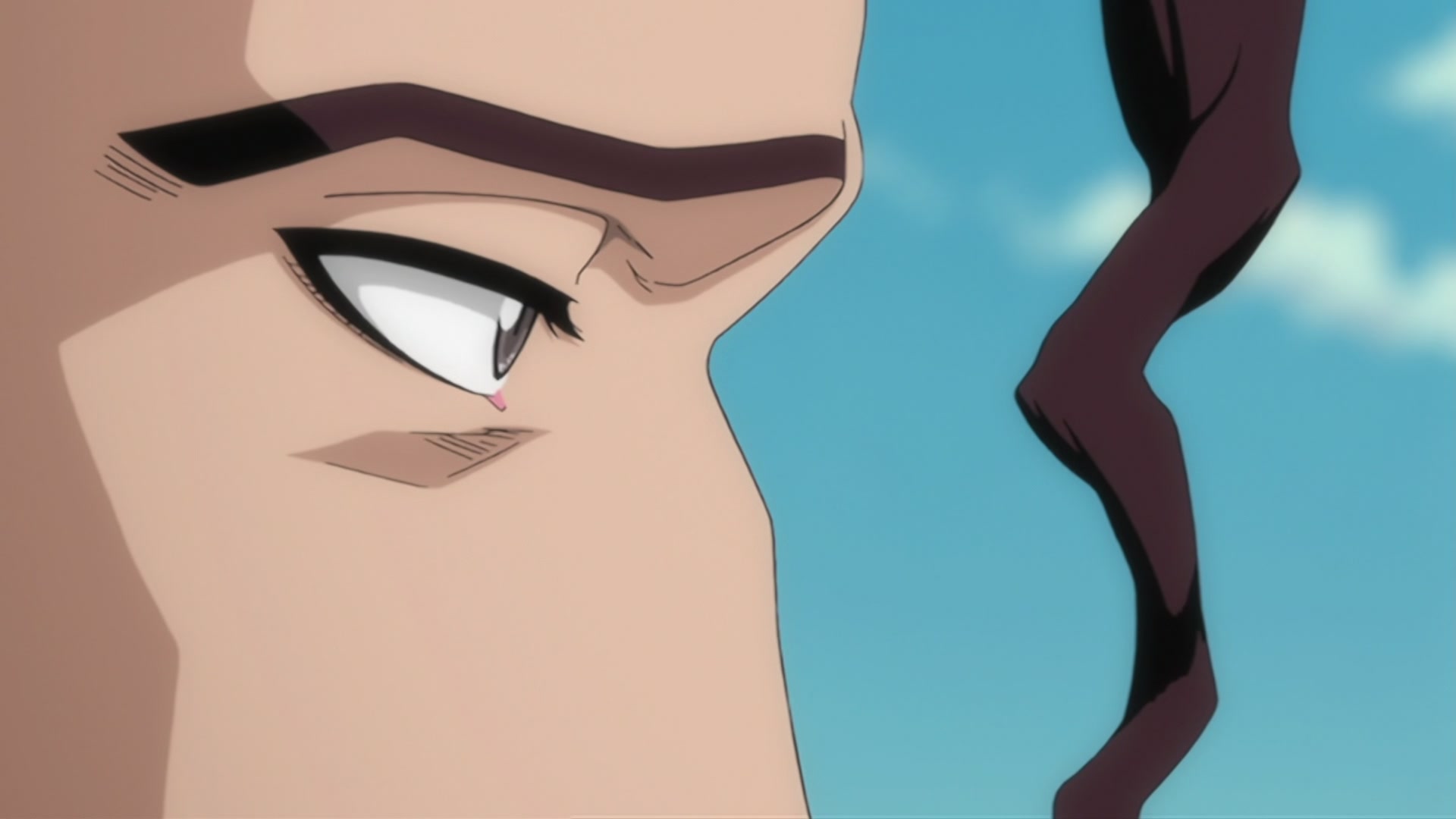 Bleach Ep 277: Climax! Kyoraku vs. Stark! @ 00:17:26