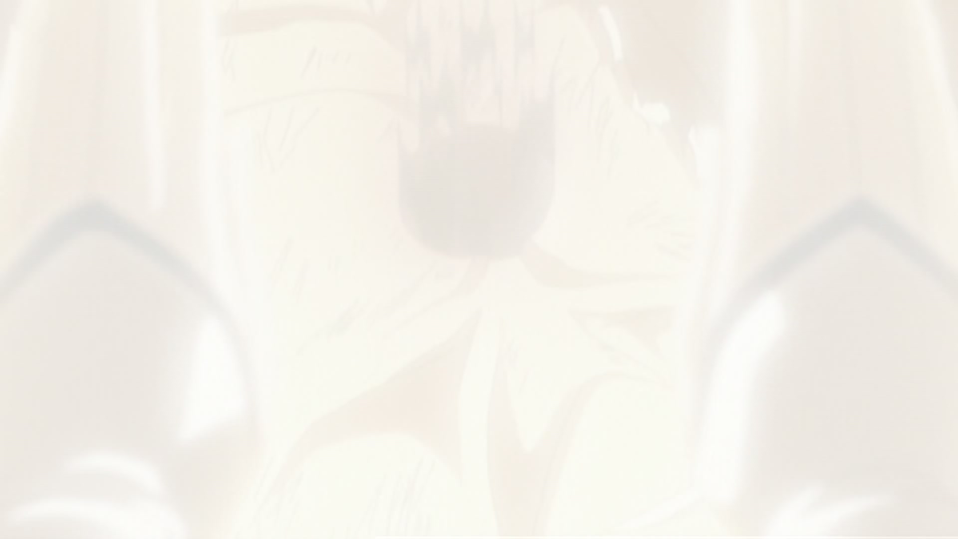Bleach Ep 286: Ichigo's Return! Protect Karakura Town @ 00:03:28